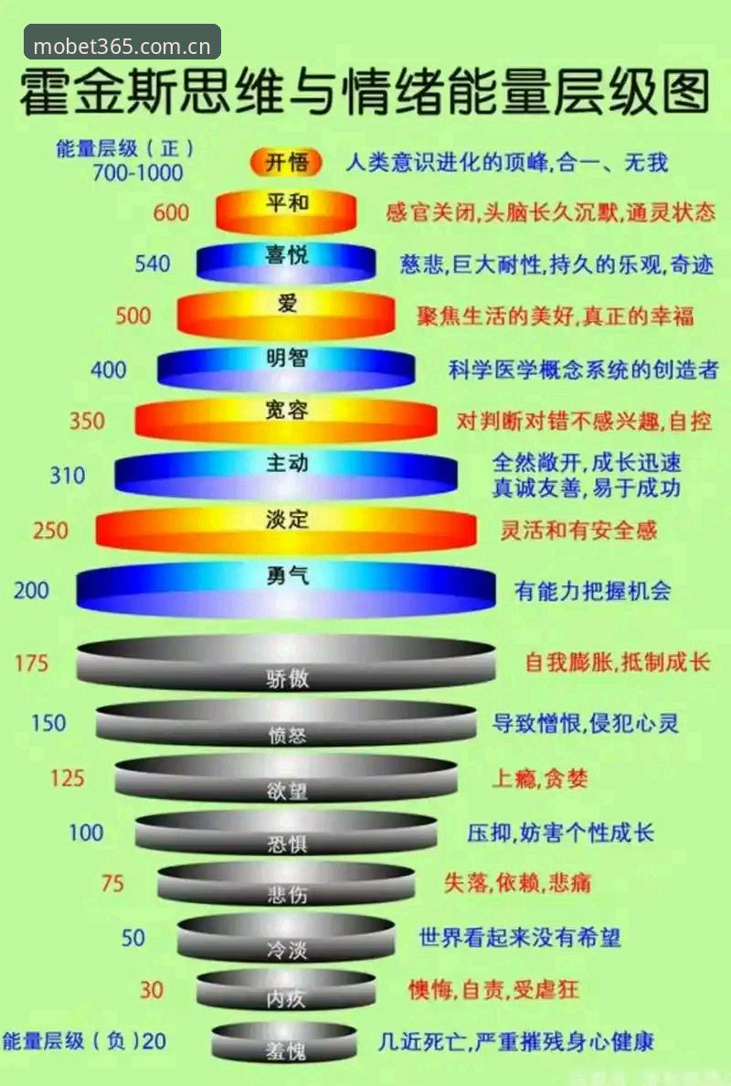 4大核心维度对比：bet365体育官网与其他体育投注平台的差异解析