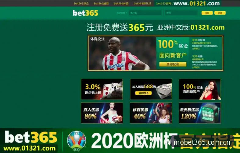 bet365体育最新版本使用评测：新手从下载到投注的完整指南